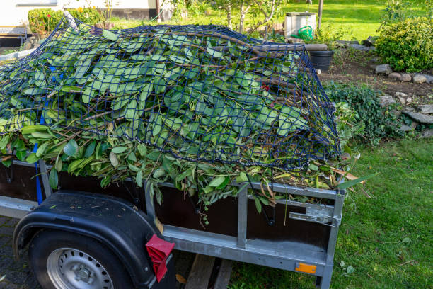 Best Estate Cleanout  in Noblesville, IN
